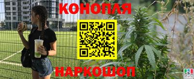 прущие грибы Мариинск