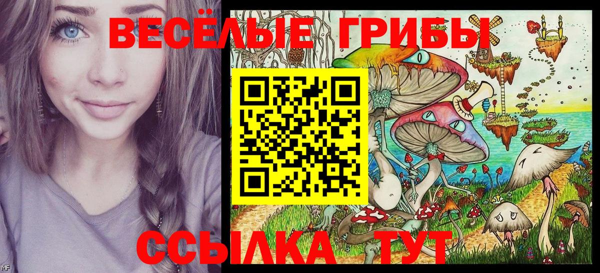 Галлюциногенные грибы мухоморы Чистополь